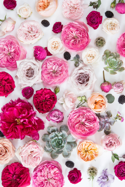 Bloemen (gift van Badhotel)