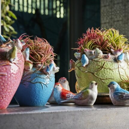 Vogels Des Pots