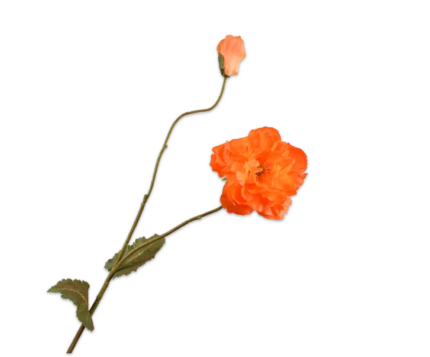 Klaproos zijde oranje XL