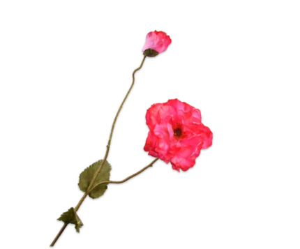 Klaproos zijde roze XL