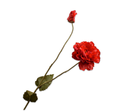 Klaproos zijde rood XL