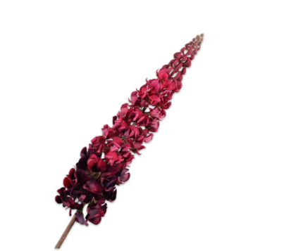 Lupine zijde roze-bordeaux