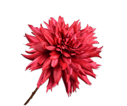 Dahlia zijde rood