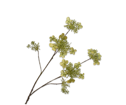 Hortensia kunst groen (vertakt)