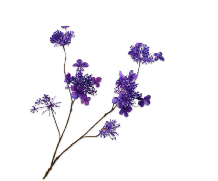 Hortensia kunst paars (vertakt)