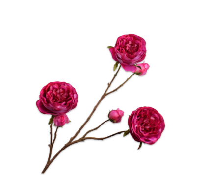 Rozen zijde fuchsia