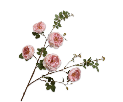 Trosroos zijde roze (s)