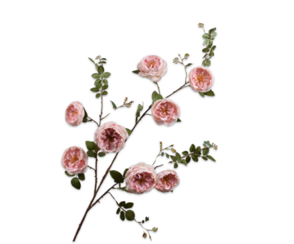 Trosroos zijde roze (xl)