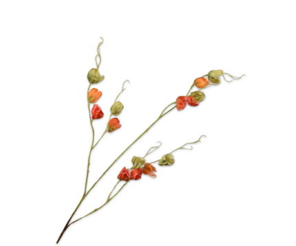 Physalis zijde oranje-groen