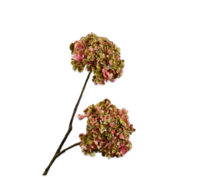 Hortensia zijde roze-groen