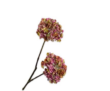 Hortensia zijde paars-groen