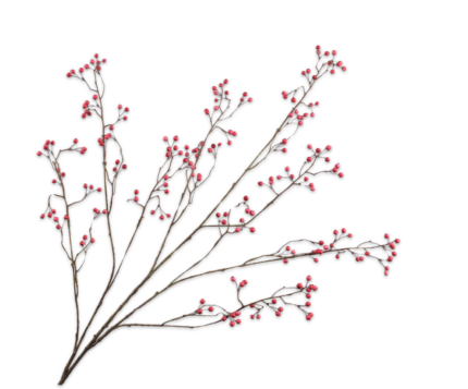 Bes kunst roze-rood
