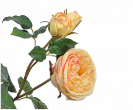 Roos zijde geel