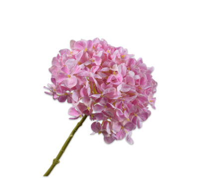 Hortensia zijde roze