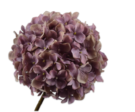 Hortensia zijde lila-paars