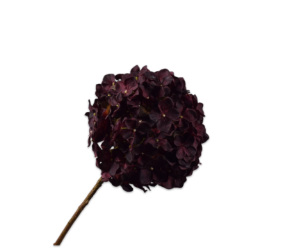 Hortensia zijde bordeaux