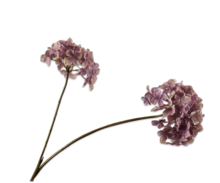 Hortensia zijde vertakt paars-lila